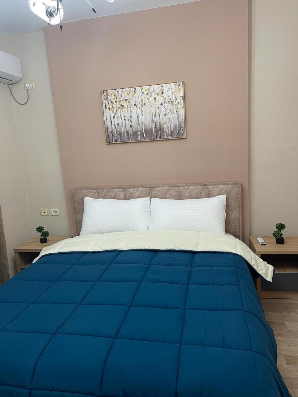 Comfort Apartment City Center Tirana Buitenkant foto